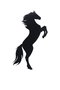 Wallity Wild Horse - Rojo